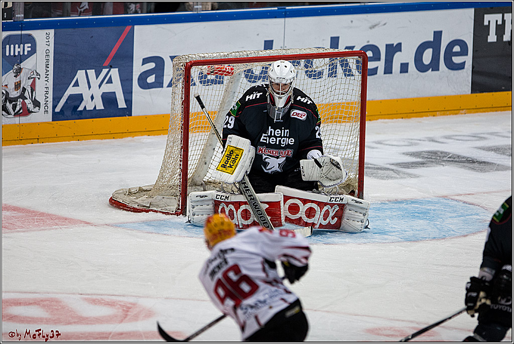 Koelner Haie - Pinguins Bremerhaven, 25.10.2016